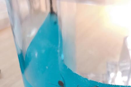蚂蚁卵能被开水烫死吗