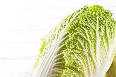 大白菜怎样分公母