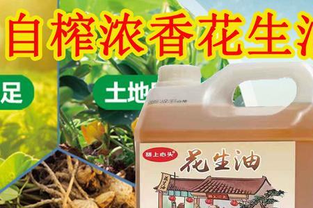 纯花生油标准号是多少