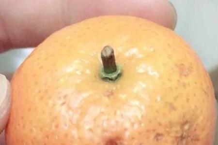 沙糖桔太甜的是不是打了甜蜜素