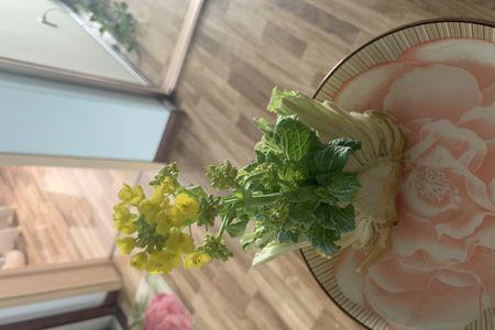 切白菜开花技巧
