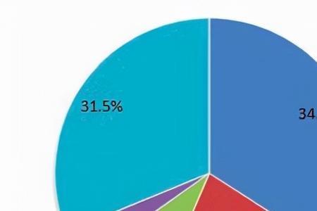 网络财阀什么意思