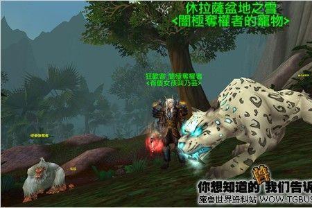 范克瑞斯灵魂兽刷新时间