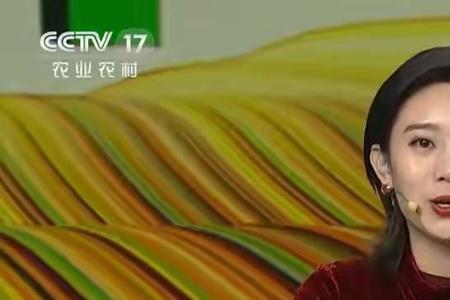 龙洋李七月谁漂亮