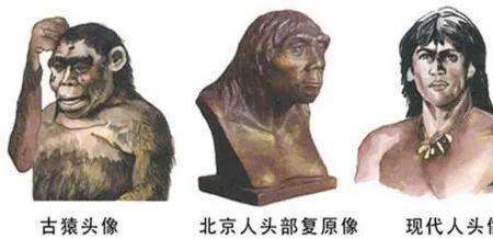 形容北京人的词