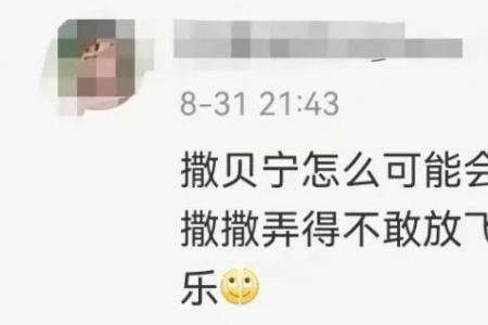 净说实话是什么意思