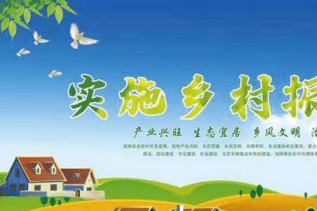 推进乡村振兴的重要举措有哪些