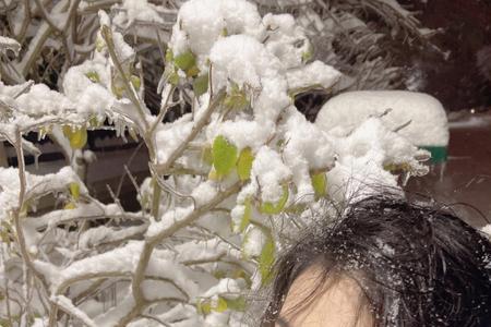 女孩子说逆风如解意什么意思