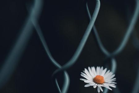 人活得清醒什么意思