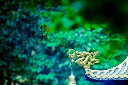 一执一念一浮生,一悲一喜一枉然