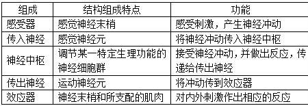 反射弧的结是什么
