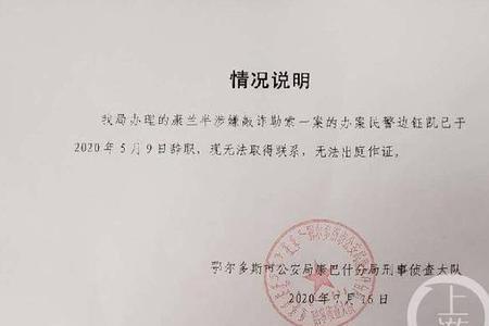 到案情况说明模板
