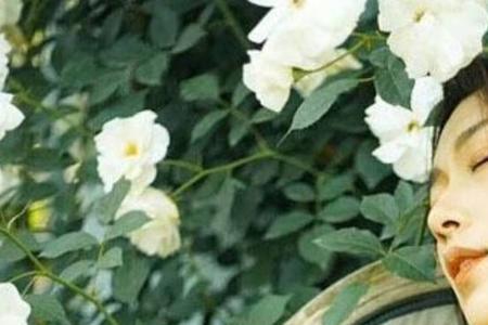 女生有多少前任算正常