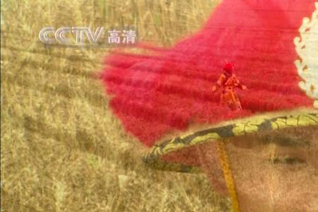 天下粮仓李忠问斩是第几集