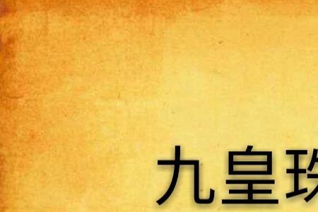 九珠是什么意思