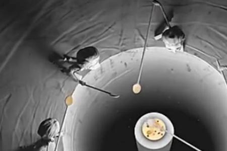 强者有道弱者无命的意思
