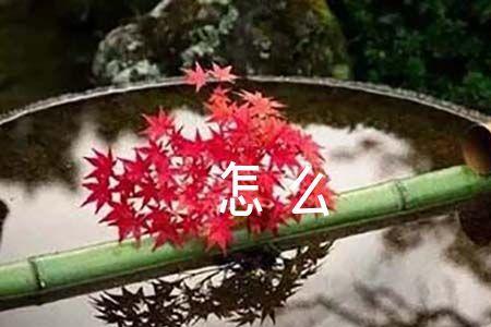 均不使为中的为是什么意思