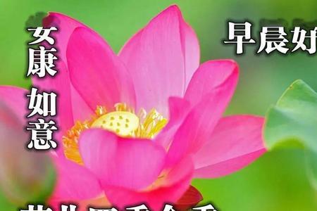一句话早上好