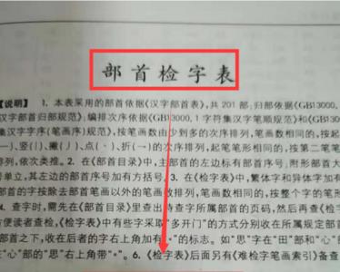 查字查字典查支字先查