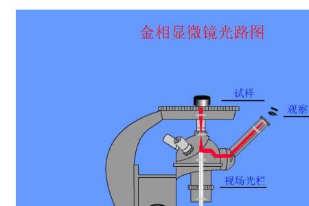 显微镜的载物台、通光孔的作用