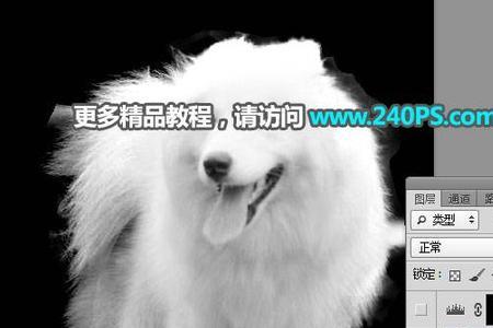 抠图后变成白色了怎么办