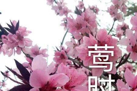 十一月古文别称