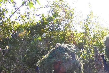 电磁空间里的侦察兵是什么