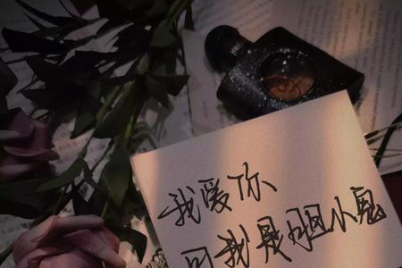 我爱你可我是胆小鬼什么意思
