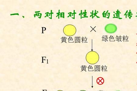 孟德尔遗传实验采集花粉的目的