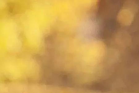 天凉好个秋,风清不知愁的意思