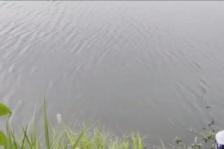 河里钓鱼在河边好，还是河河中好
