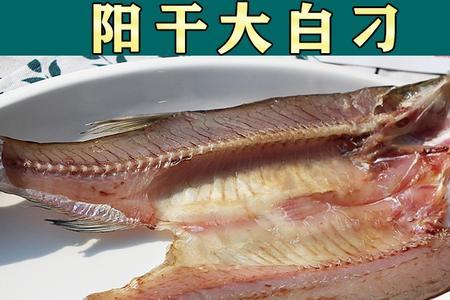 翘嘴臭鱼的正宗腌制方法