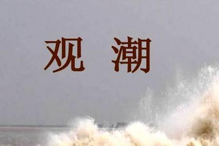 什么风什么浪