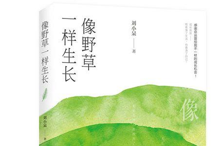 一个人的爱像野草是什么意思