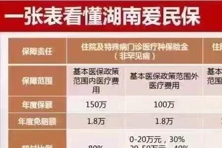 湖南爱民保怎么续保