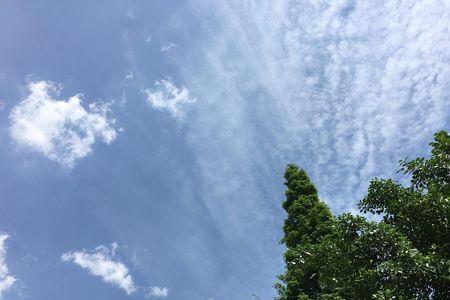 放晴歌曲表达了什么意思