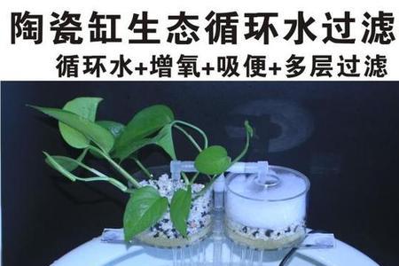鱼缸过滤器吸不上水