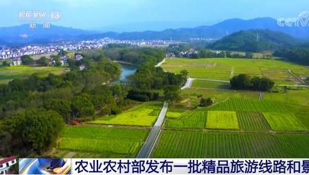 乡村振兴推进力度不够整改措施