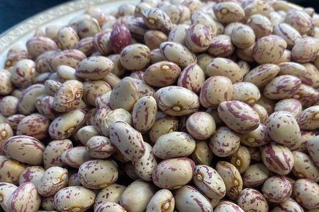 大果豆什么时候种