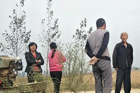 我嘞三舅是啥梗