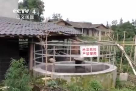 一头猪产生多少立方沼气