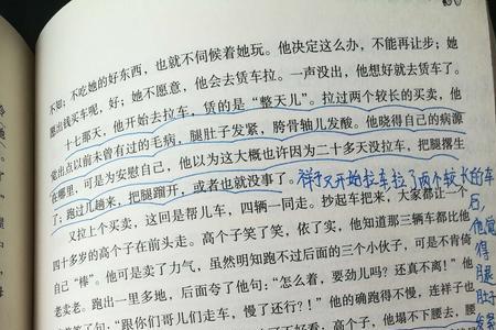 骆驼祥子二次奋斗的阅读章节