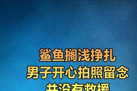 湖里有鲨鱼吗
