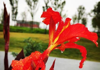 妩媚和绮丽的意思解释