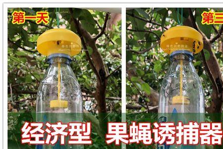 果得刚诱虫剂多少一瓶
