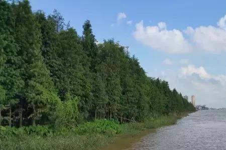 中山有海的镇是哪
