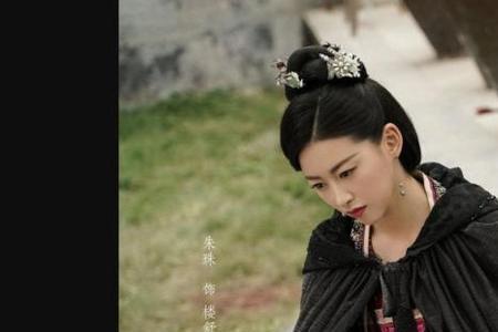 雪中悍刀行靖安王妃裴南苇秘密
