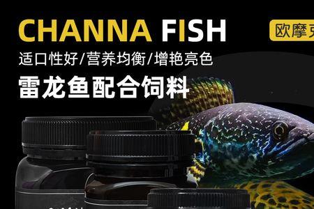 鬼王吃什么饲料增色