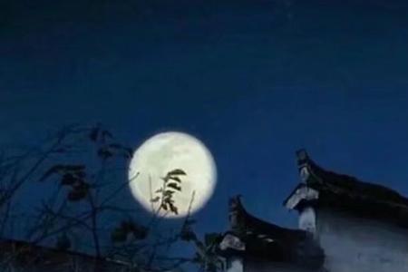 主人有酒欢今夕是什么意思