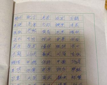 我们一定要什么地写作业成语